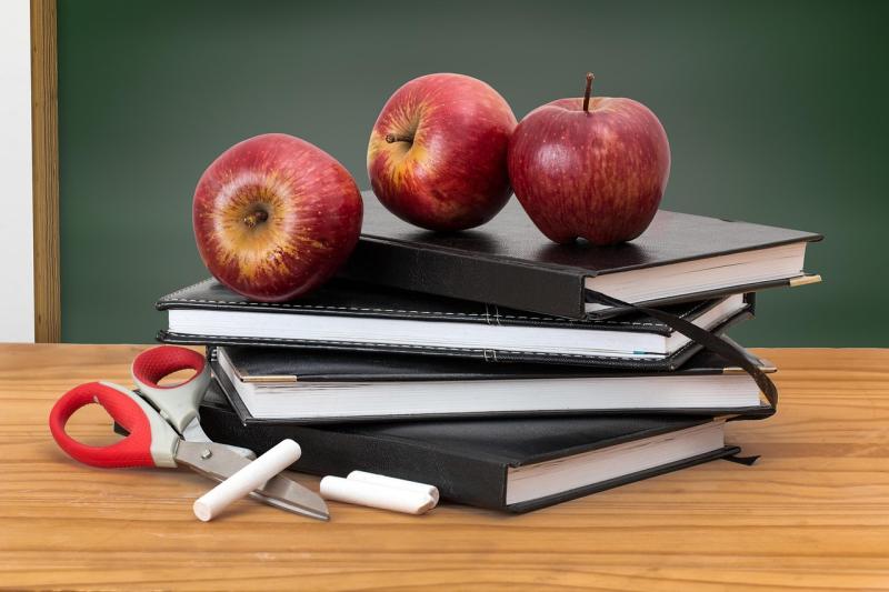 Department of Education accused of ‘deeply damaging’ approach to special schools in Kildare