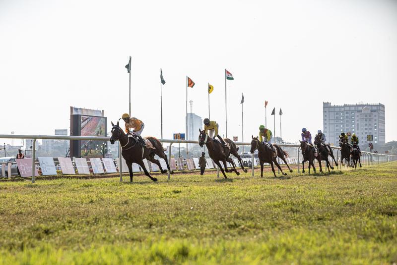 Prominent horse racing figures to attend Kildare fundraiser in aid of child