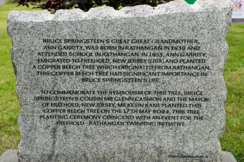 GALLERY: Plaque unveiled in Kildare town to mark official twinning with Bruce Springsteen's Freehold hometown 