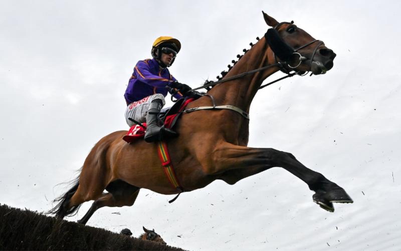 IHRB expands pre-race veterinary checks using Kildare company
