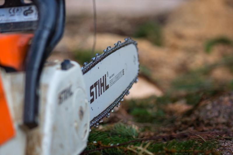Chainsaw worth €1,300 among tools stolen from Kildare shed