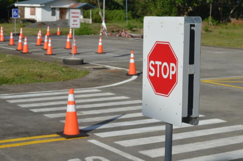 Driving test delays in Kildare lambasted by local activist