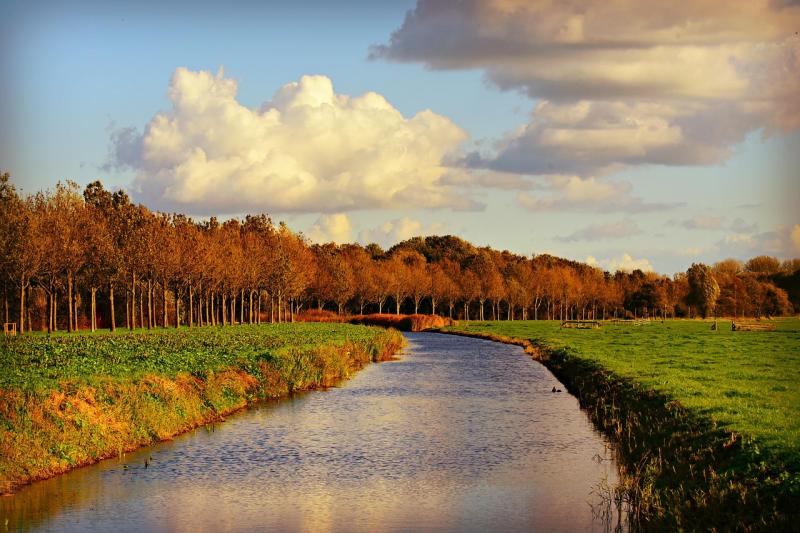 Get ready for some craic and ceol by the canal at this Kildare village 
