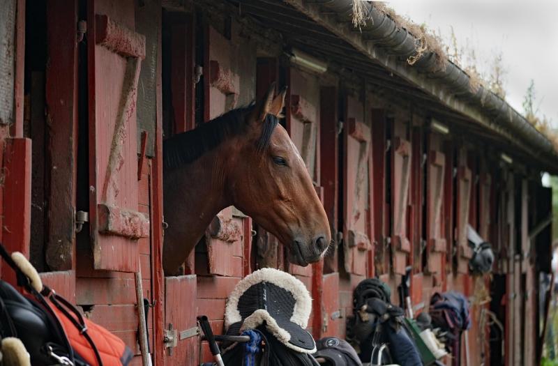€178k stables proposed for this Kildare town
