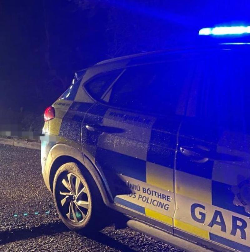 Kildare Garda&iacute; help avoid potential 'disaster' on the N7 