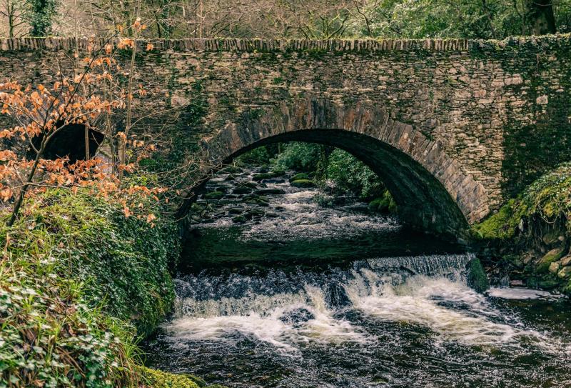 More than €3,300 in grants awarded to Kildare for Water Heritage Day events