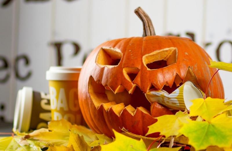 Care to lend a hand (or some claws)? Volunteers sought for Halloween festival in this Kildare town
