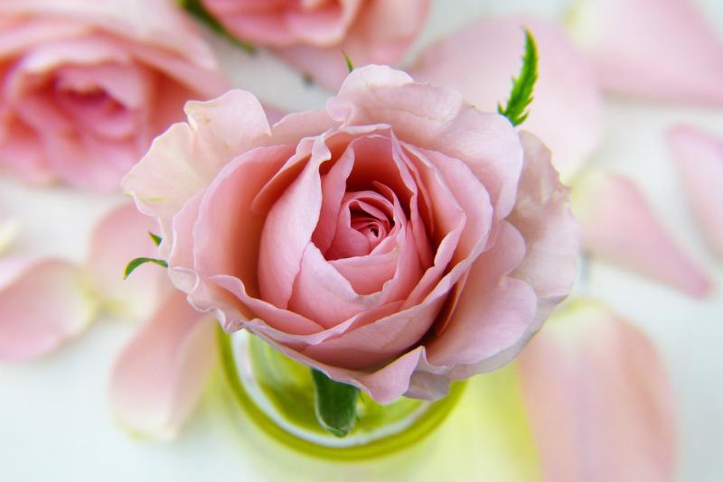 Kildare Death Notices for today: Monday, September 1 2025