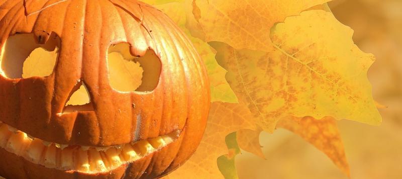 Hoping to find some scarily good deals? Halloween edition of pop culture fair coming soon to Kildare