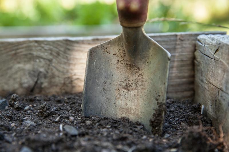 Care to lend a hand (with some green thumbs)? Volunteers sought for Kildare-based family resource centre's sensory garden