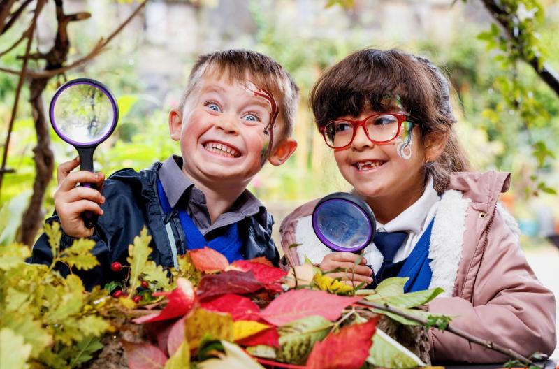 Free trees for Kildare primary schools this National Tree Day
