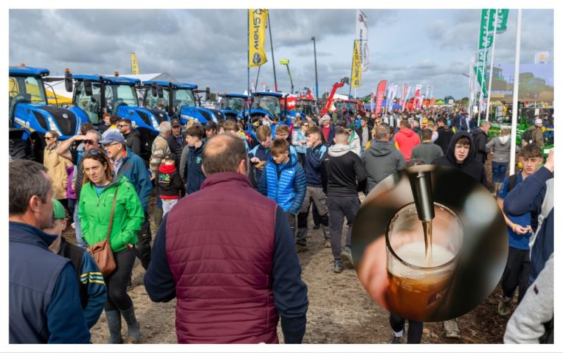 'It put a dampener on the day' - Underage drinking called into question at Ploughing Championships