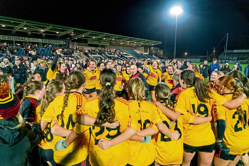 Larries upset the odds to take Kildare SFC title