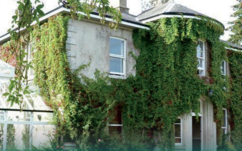 Camphill Dunshane in Brannockstown, Co. Kildare, will celebrate its 40th anniversary with a special Open Day on Thursday, October 23rd, 2025, from 12 noon to 4pm.