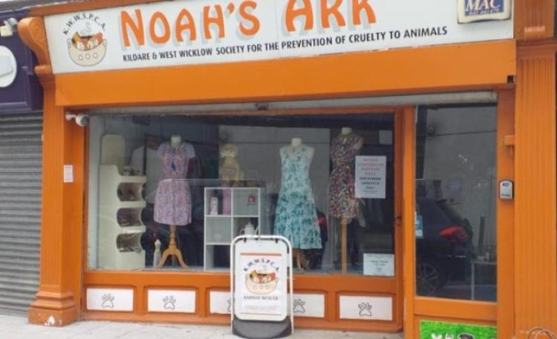 Kildare animal charity says it urgently needs these items for its Newbridge shop