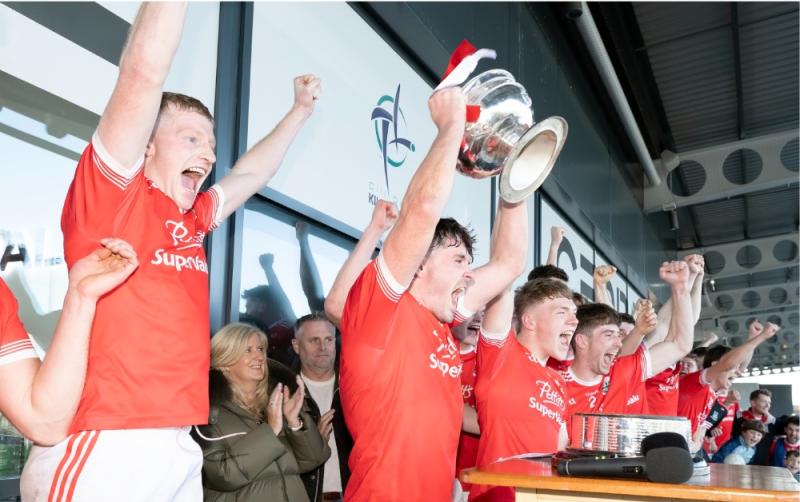COMMENT: After a four-year stint the Dermot Bourke Cup heads south in Kildare