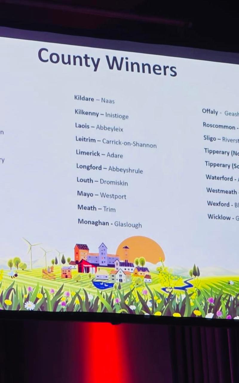 Naas is tidiest town in Kildare for 2025