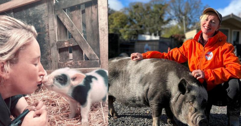 'They're just as affectionate as dogs' - Singer swaps stage for saving pigs in Kildare