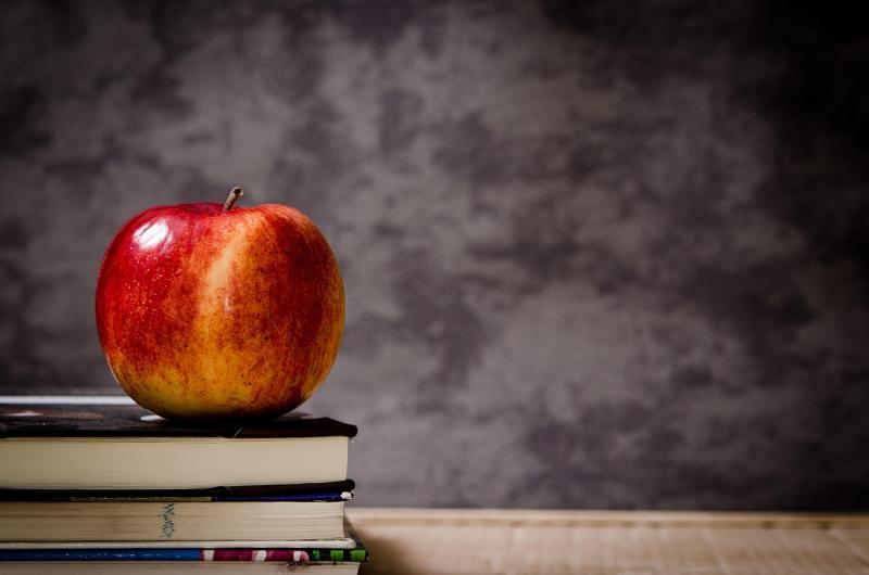 North Kildare schools 'in desperate need' of additional SNA provision, Cllr says