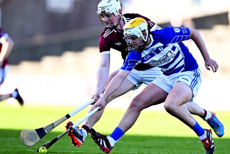 Leinster Hurling Naas