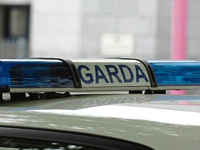 Elderly woman in her 70s dies days after late-night crash as gardaí appeal for witnesses