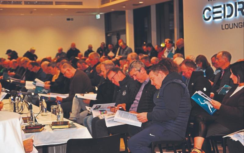 Club delegates debate solutions for the future of rural Kildare GAA clubs