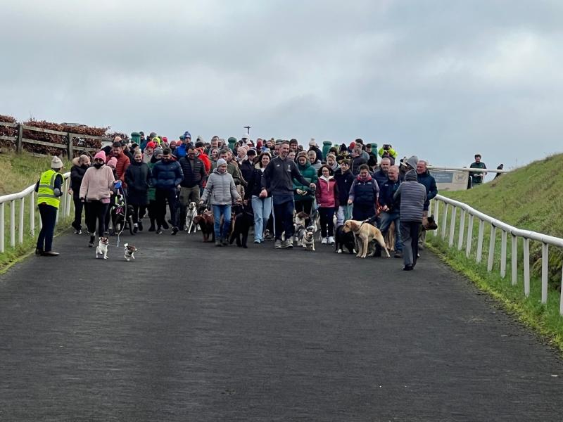 Annual Curragh Dog Walk to raise funds for Kildare Animal Foundation