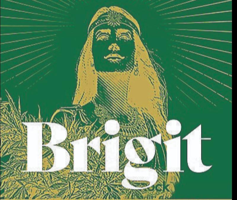 Brigit: Lady of the Irish Otherworld