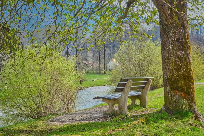 &lsquo;They have shown what a public consultation should look like&rsquo;: Kildare County Council's Parks Department praised for project help