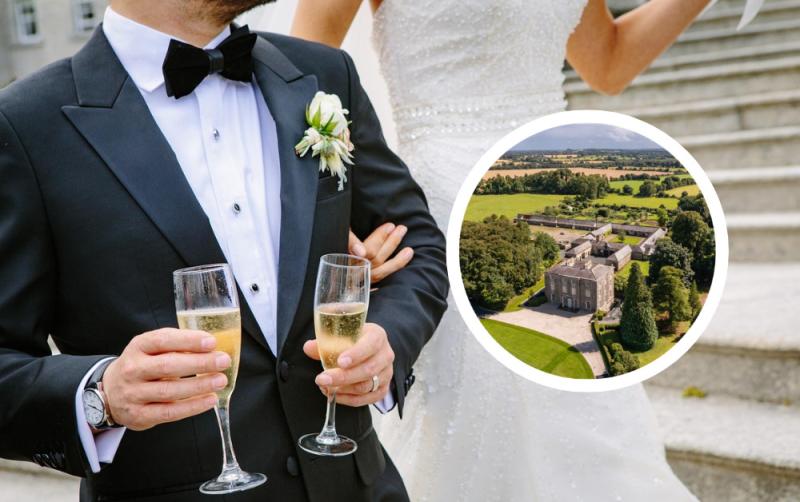 Owners of famous Kildare property plan to build stunning 'wedding village' venue