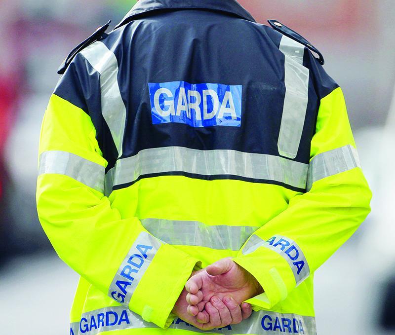 Kildare garda&iacute; investigating after man was assaulted in front of child in broad daylight