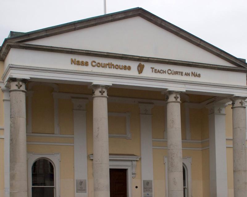 Woman 'kicked, hit and had hair pulled' at Kildare's What's The Craic Festival - court claim