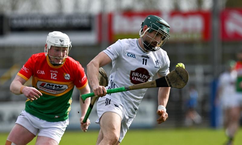 SECOND LOOK: The three games that secured Division 1B safety for the Kildare hurlers