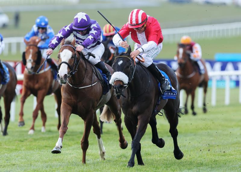 The flat is back for Kildare racegoers! First raceday of the season at Curragh on Sunday 
