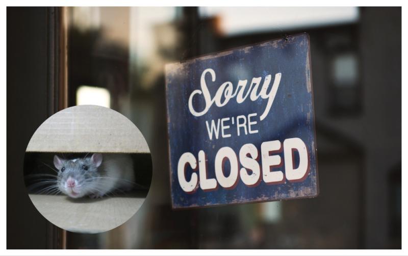 'Rat droppings found on food' - Three food businesses forced to close doors in February 