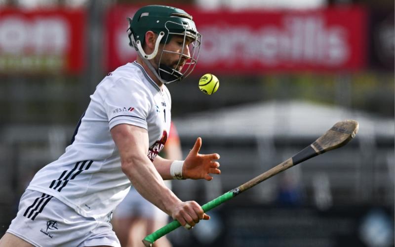 Hurlers team vs Wexford