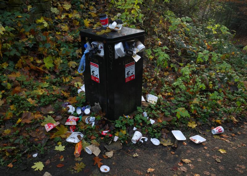 Call for more anti-litter support in this Kildare town