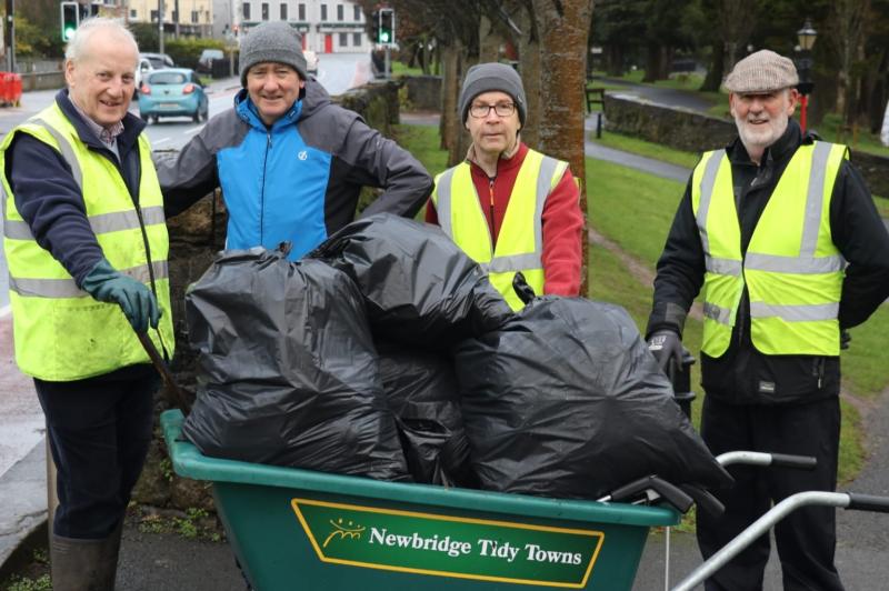 Tidy Towns' volunteers very active across Kildare during Christmas and