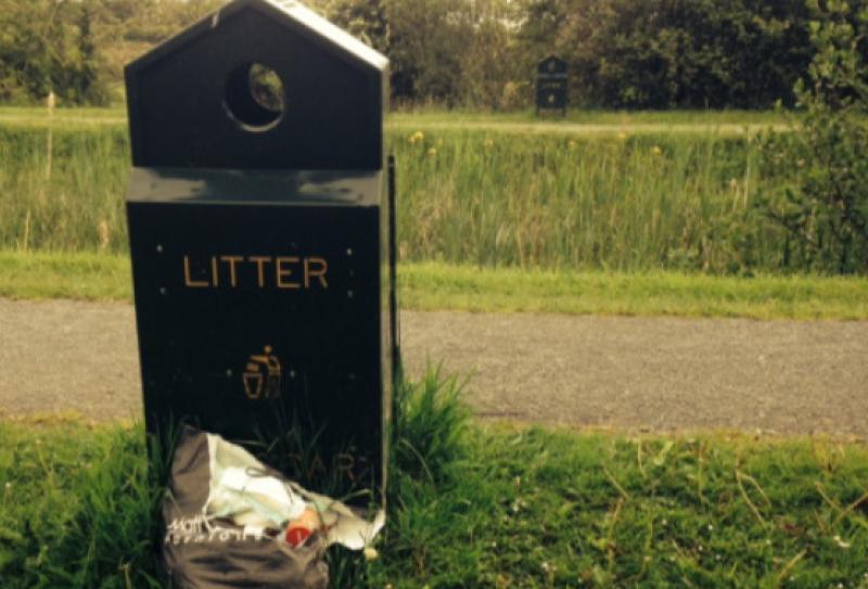 Dumping and litter remain a "serious" issue in Leitrim