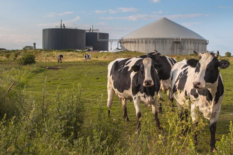 Kildare’s biomethane could replace all the natural gas consumed in the county, report says