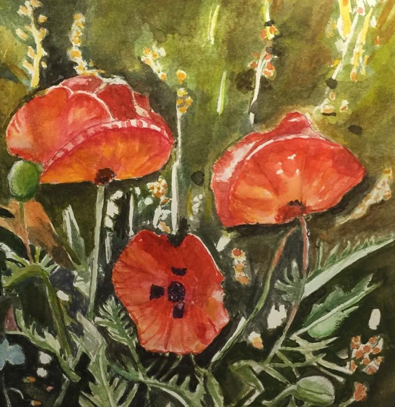 Kildare art group to mark 40th anniversary with exhibition this weekend 