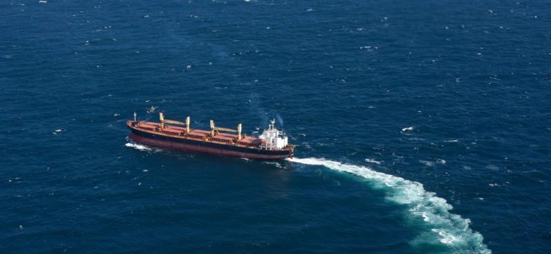 Garda&iacute; arrest seventh man as part of Ireland's largest ever drug operation