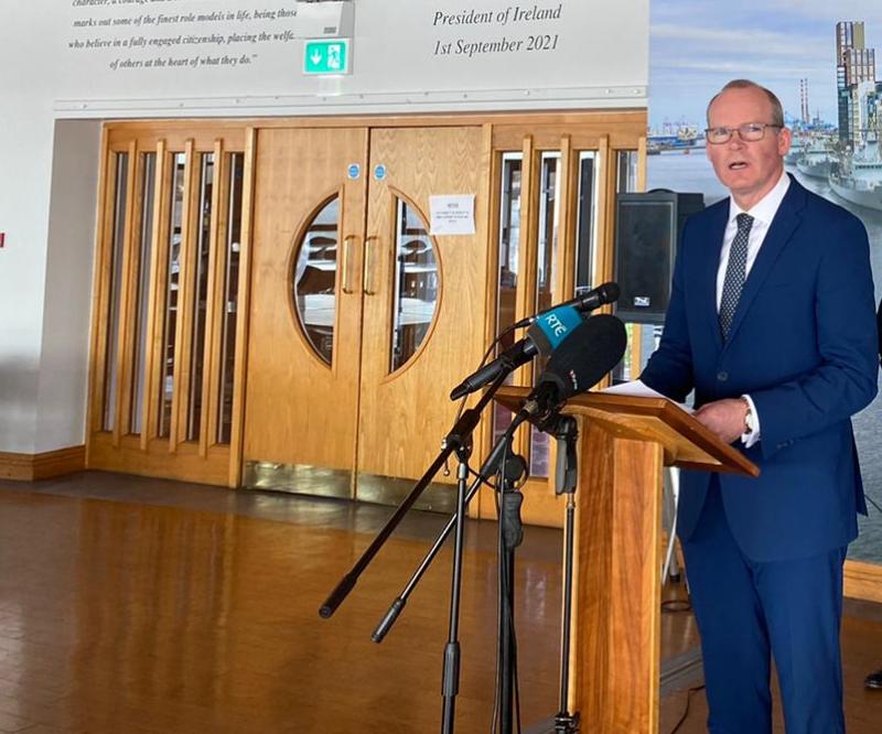 Simon Coveney rules out Ireland expelling Russian Ambassador 