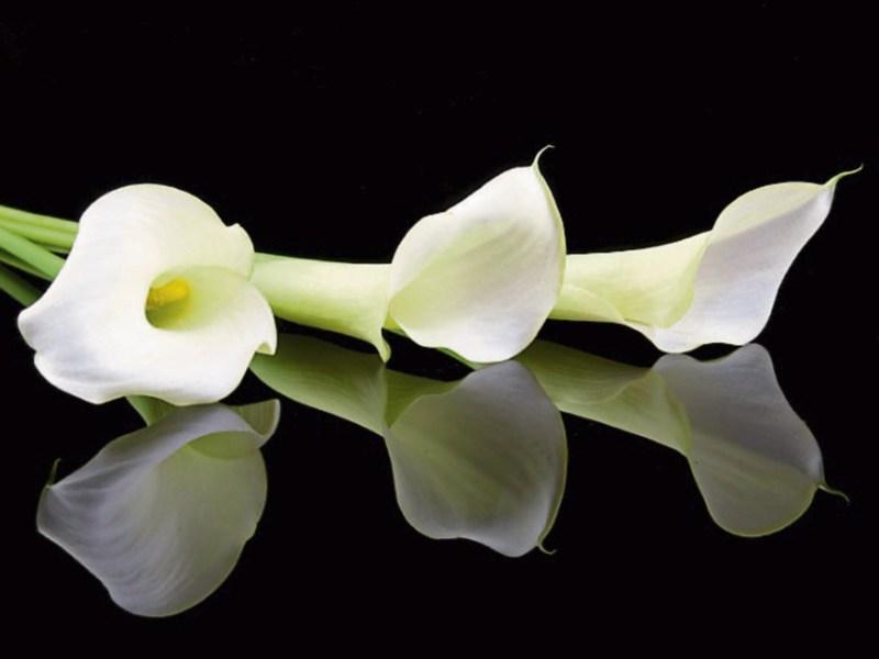 Deaths in Kildare - Wednesday, June 27, 2018