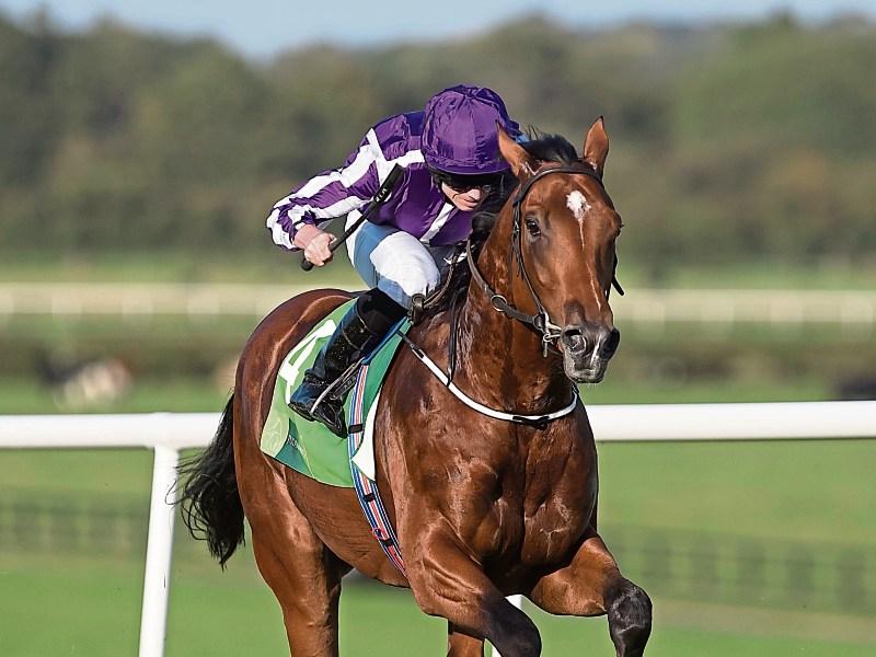 Saxon Warrior and Dee Ex Bee lead Saturday's Irish Derby field at the Curragh