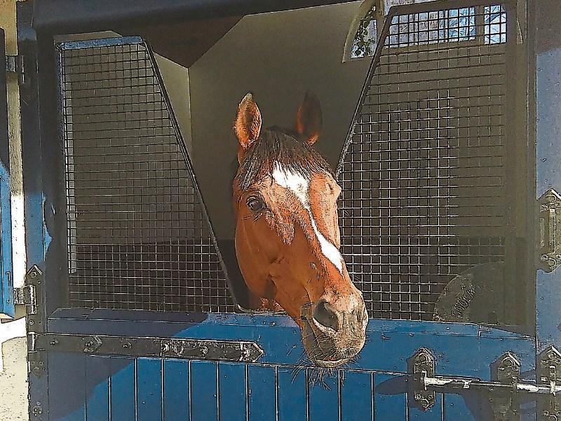 Coolmore and Godolphin's fierce flat racing rivalry to be reignited at Saturday's Irish Derby