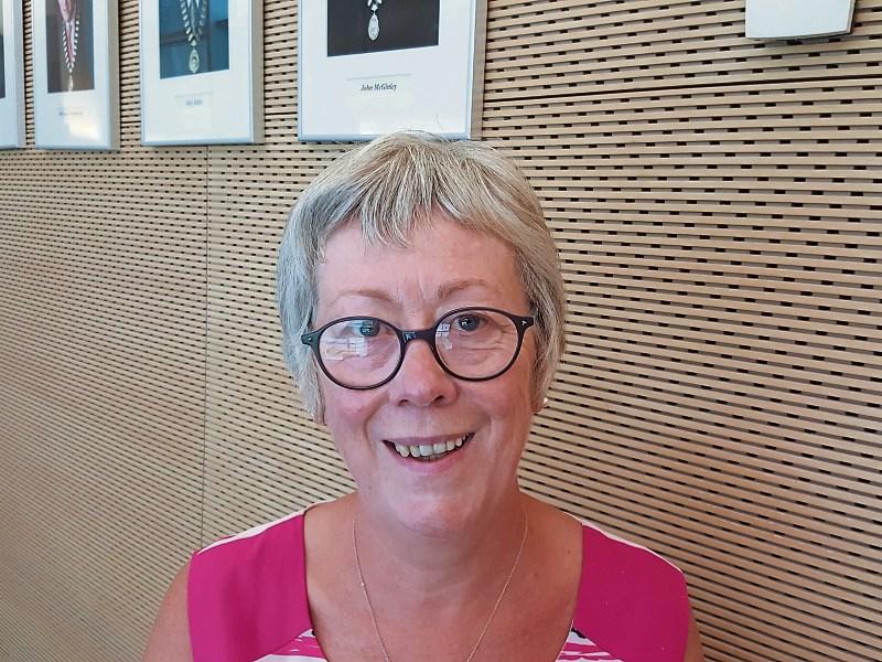 Kildare drug support body appeal for money