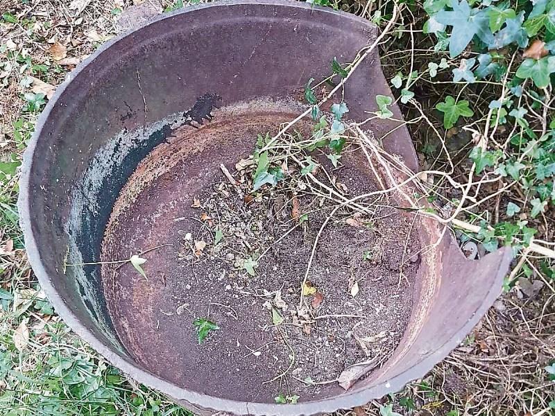 Ancient pot could be link to Kildare's famine and Quaker past