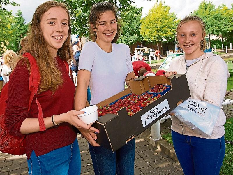 ’Go Wild’ for food and fun in Naas this weekend