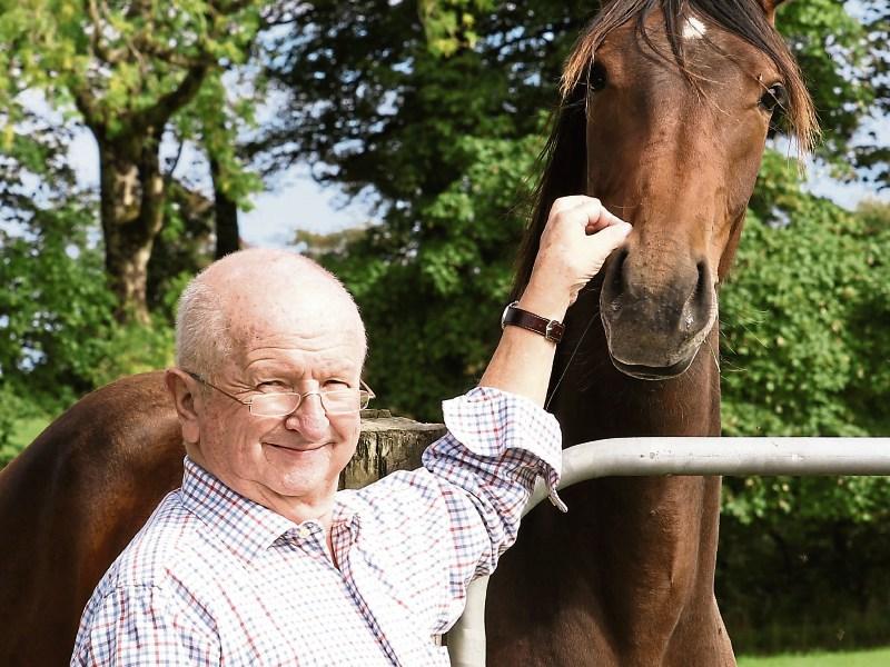 Joe Reynolds is new chairman of Naas-based Horse Sport Ireland